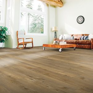 Spacious living room | Carpet Mart, INC