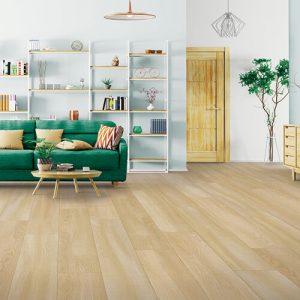 Living room interior | Carpet Mart, INC