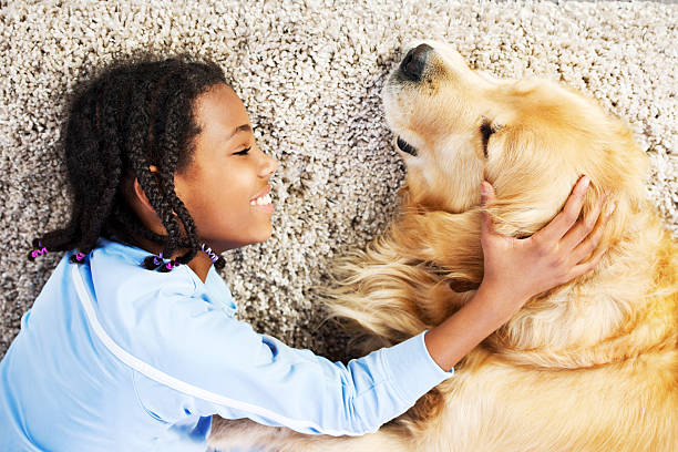 Carpet flooring | Carpet Mart