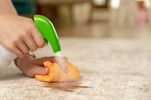 Carpet Stains | Carpet Mart