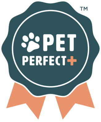 Pet Perfect-1 Carpet | Carpet Mart