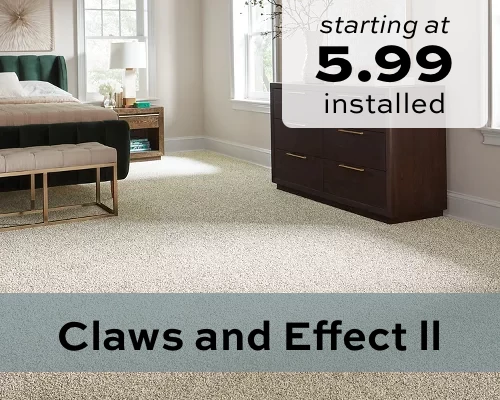 Claws and Effect II | Carpet Mart