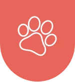 Pet perfect-icon | Carpet Mart