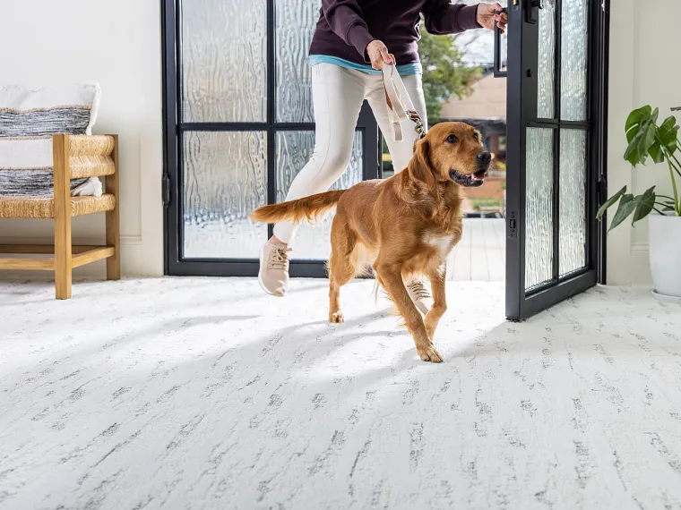 Shaw Pet Perfect flooring | Carpet Mart