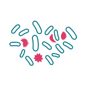 probiotics-multiply | Carpet Mart