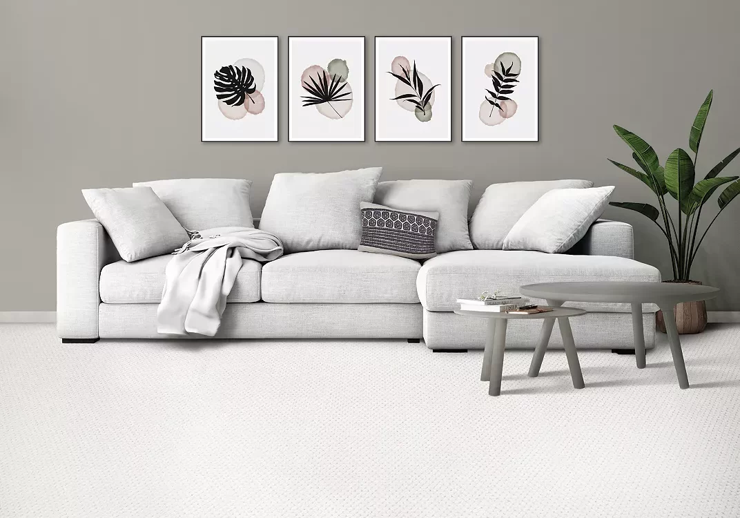 28467_room_00-landscape Living room carpet flooring | Carpet Mart